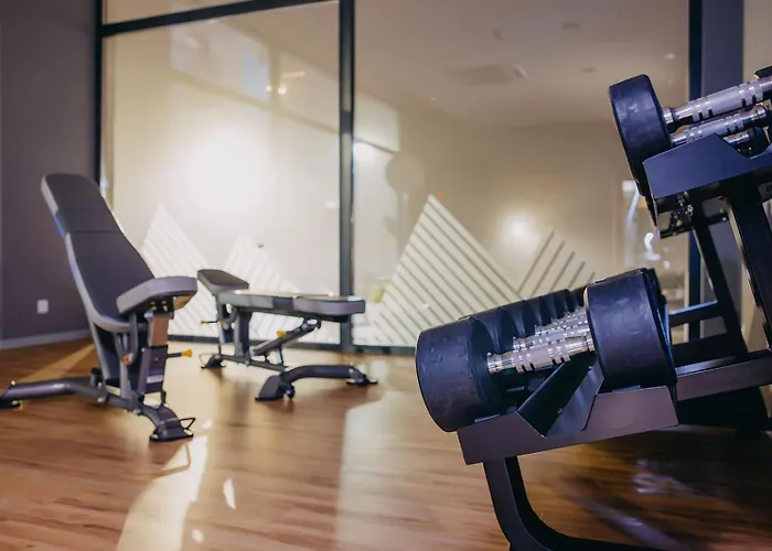 Platinum Adults Daire