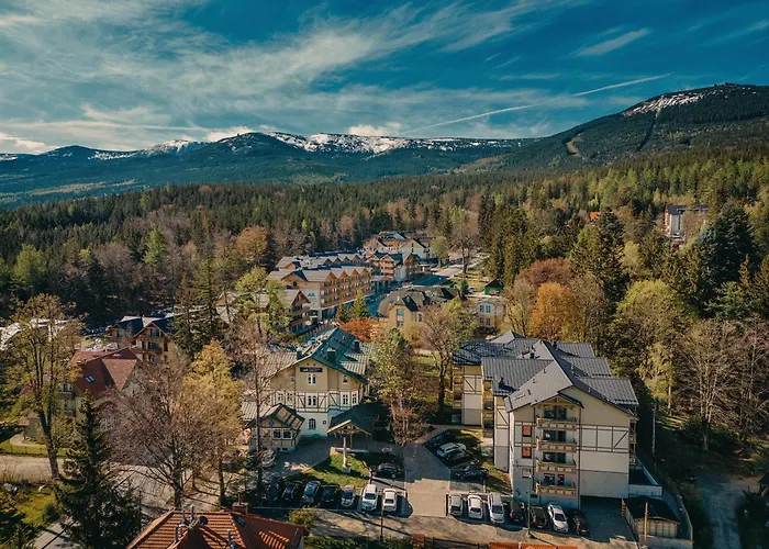 Platinum Adults Daire